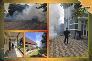 Fogging_21__08_2025 Fogging_21__08_2025